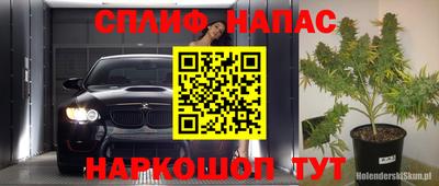 ПСИЛОЦИБИНОВЫЕ ГРИБЫ Коммунар